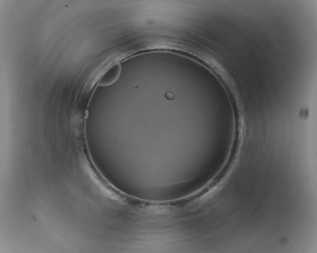 X0000113050993200908271526