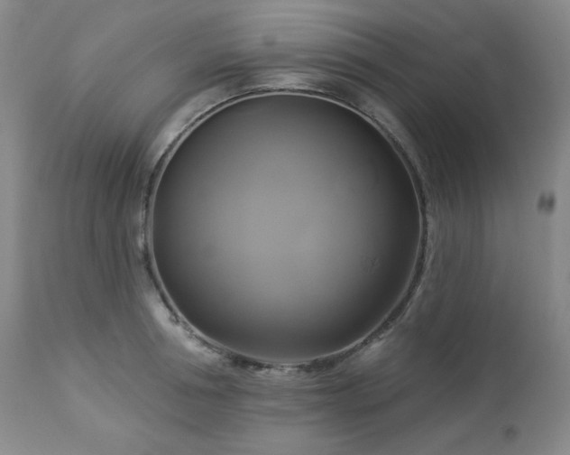 X0000113050994200908271526