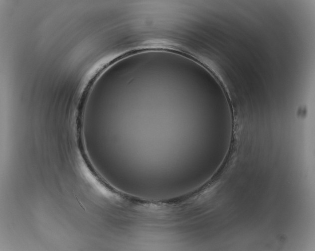 X0000113050995200908271526