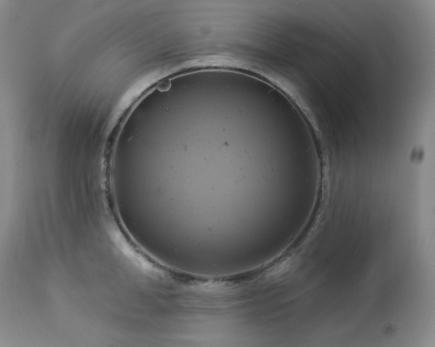 X0000113050998200908271526