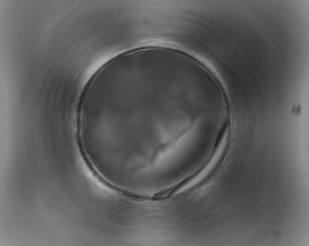X0000113050999200908271526