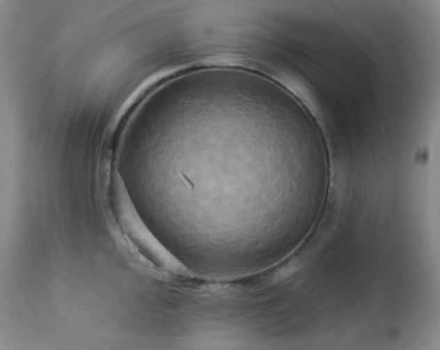 X0000113051000200908271526