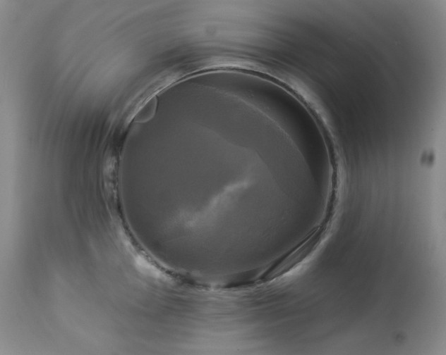 X0000113051001200908271526