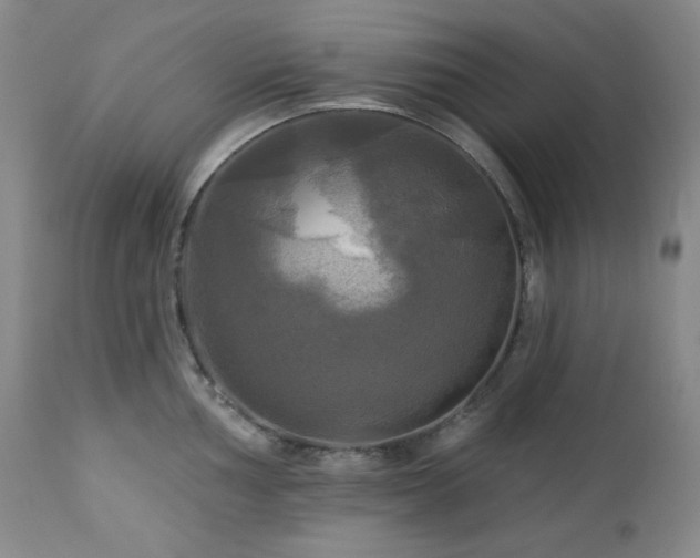 X0000113051002200908271526