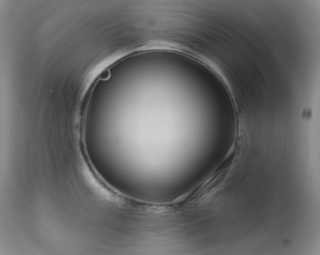 X0000113051003200908271526