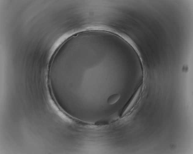 X0000113051005200908271526