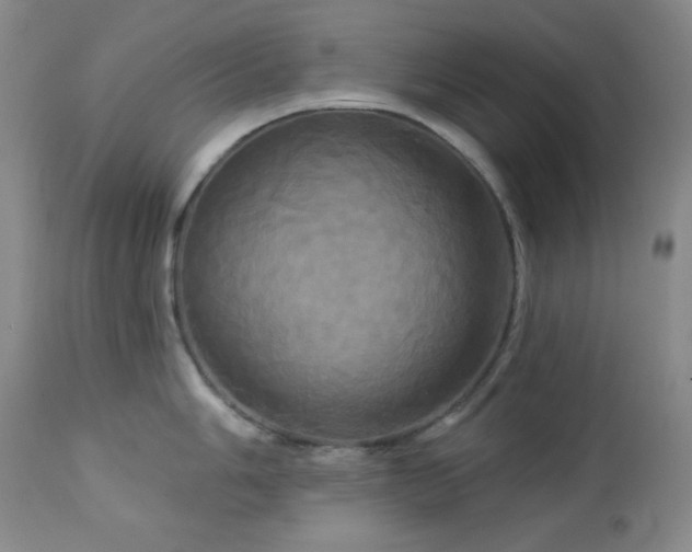 X0000113051006200908271526