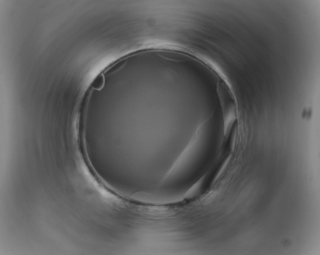 X0000113051007200908271526