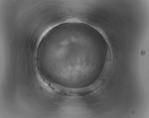 X0000113051008200908271526