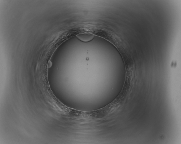 X0000113051009200908271525
