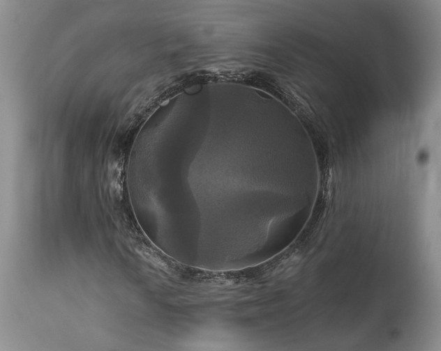 X0000113051010200908271525