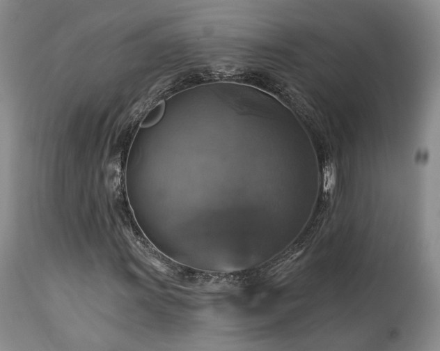 X0000113051011200908271525