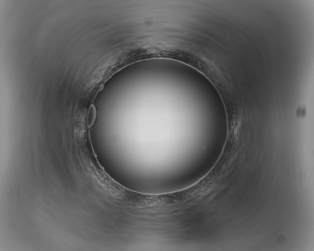 X0000113051012200908271525
