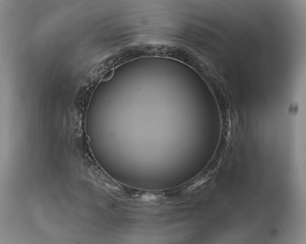 X0000113051013200908271525
