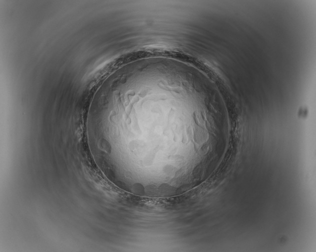 X0000113051015200908271525