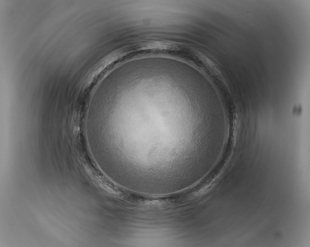 X0000113051017200908271525