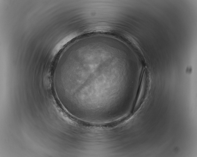 X0000113051018200908271525