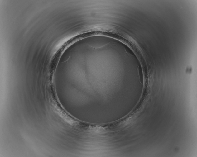 X0000113051019200908271525