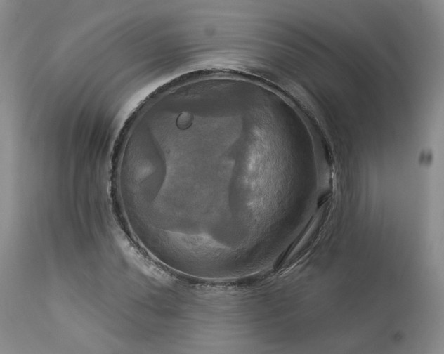 X0000113051020200908271525