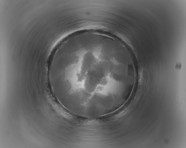 X0000113051021200908271525