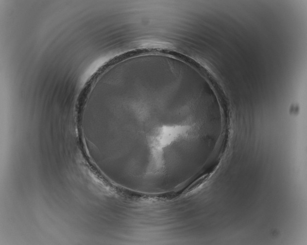 X0000113051022200908271525