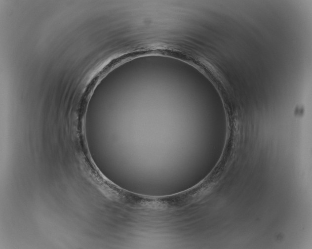 X0000113051023200908271526