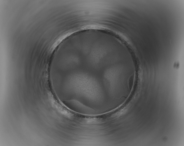 X0000113051025200908271526