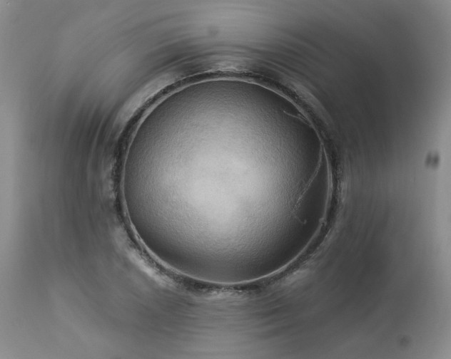 X0000113051026200908271526