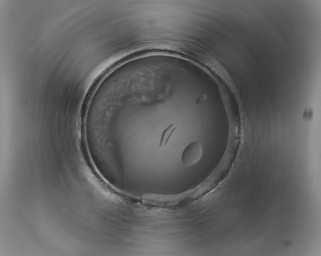 X0000113051028200908271526