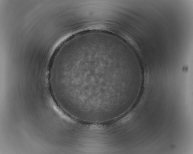 X0000113051029200908271526