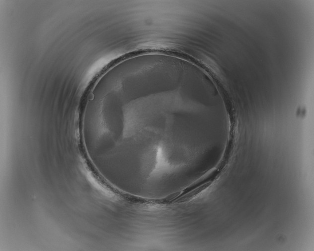 X0000113051030200908271526