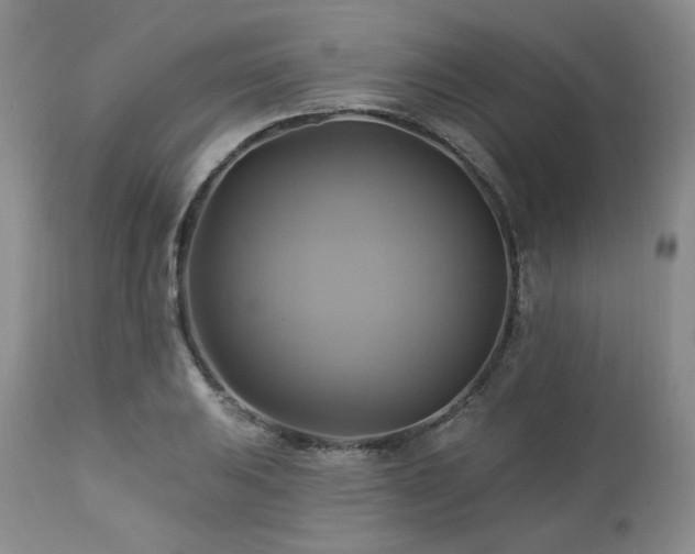 X0000113051031200908271526