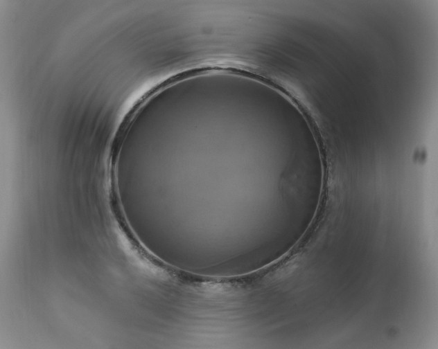 X0000113051032200908271526