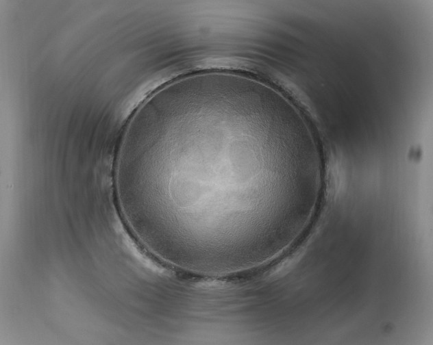 X0000113051033200908271526