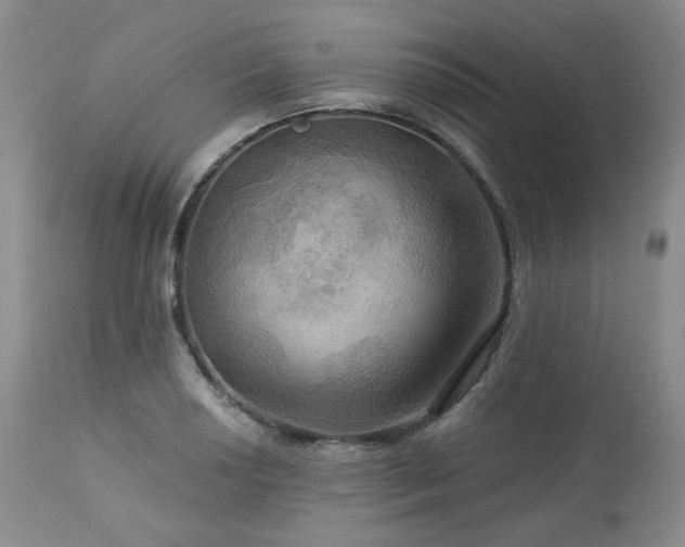 X0000113051034200908271526