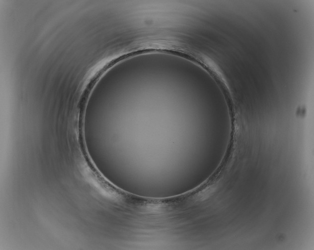 X0000113051035200908271526