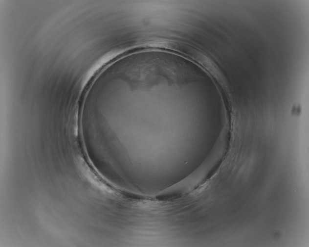 X0000113051036200908271526