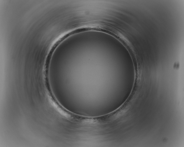 X0000113051037200908271526