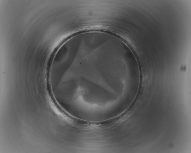 X0000113051038200908271526
