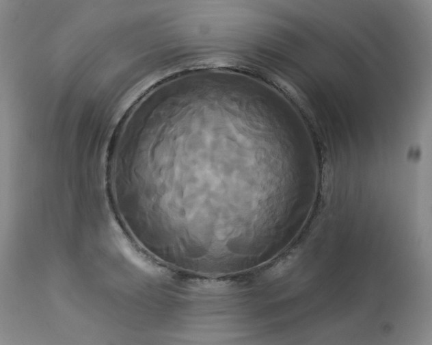 X0000113051039200908271526
