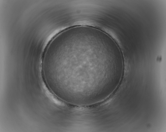 X0000113051040200908271526