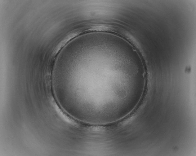 X0000113051041200908271526