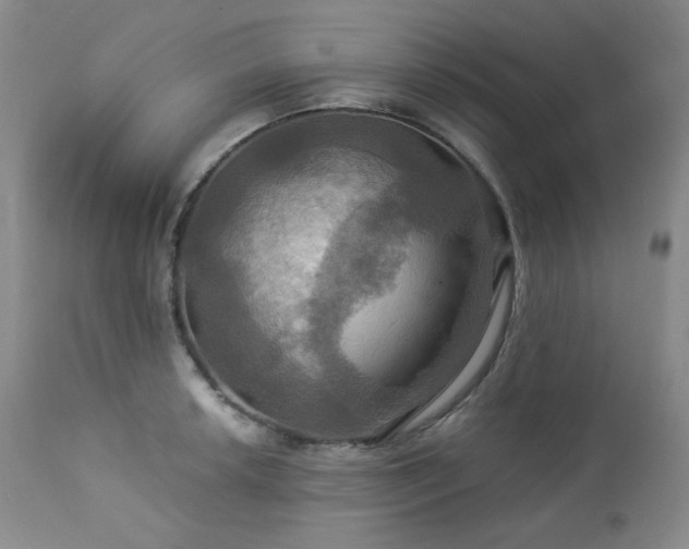 X0000113051042200908271526
