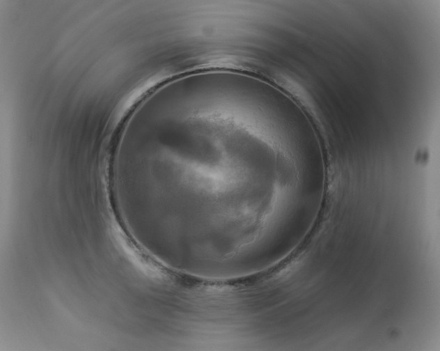 X0000113051043200908271526