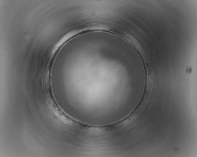 X0000113051044200908271526