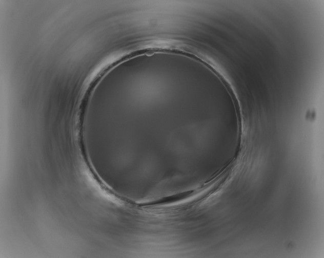 X0000113051045200908271526