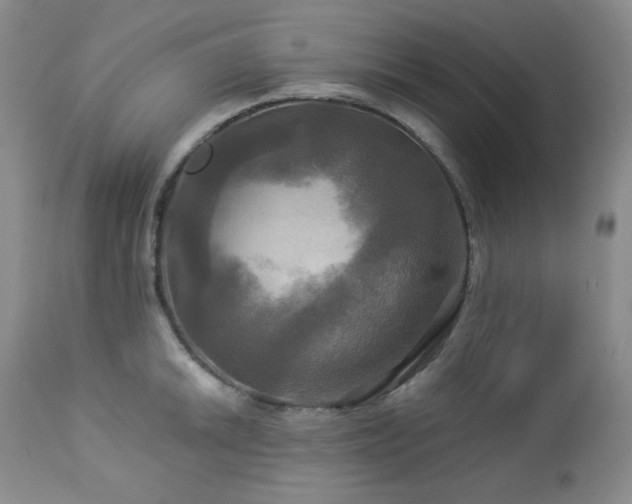 X0000113051046200908271526