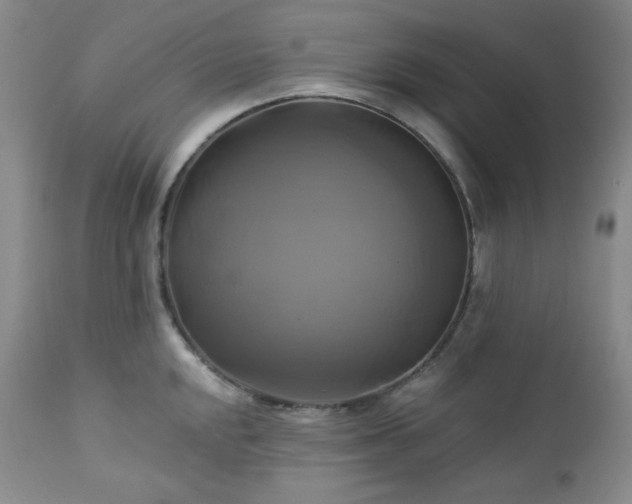 X0000113051048200908271526