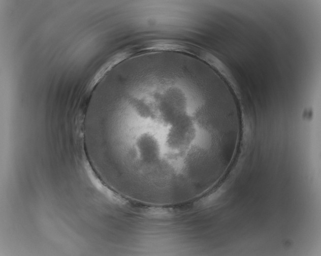 X0000113051049200908271526