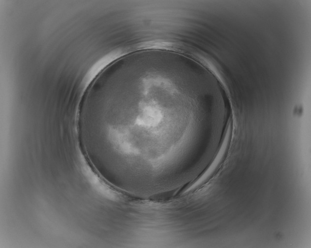 X0000113051050200908271526